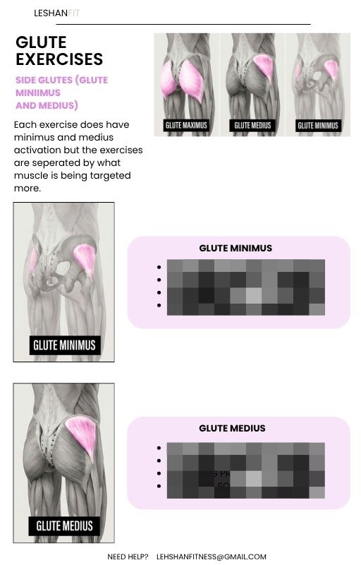 BBL GUIDE (GYM&HOME)