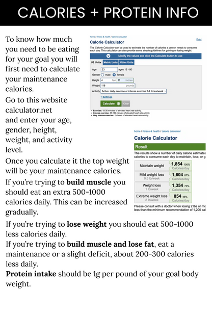 100 HIGH-PROTEIN MEALS