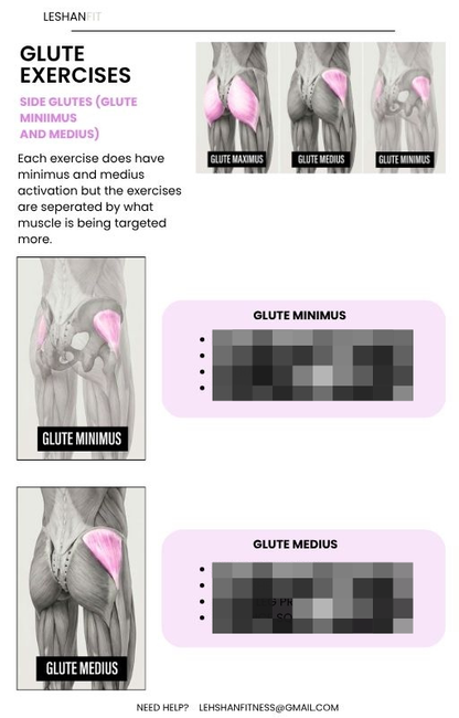 BBL GUIDE (GYM&HOME)